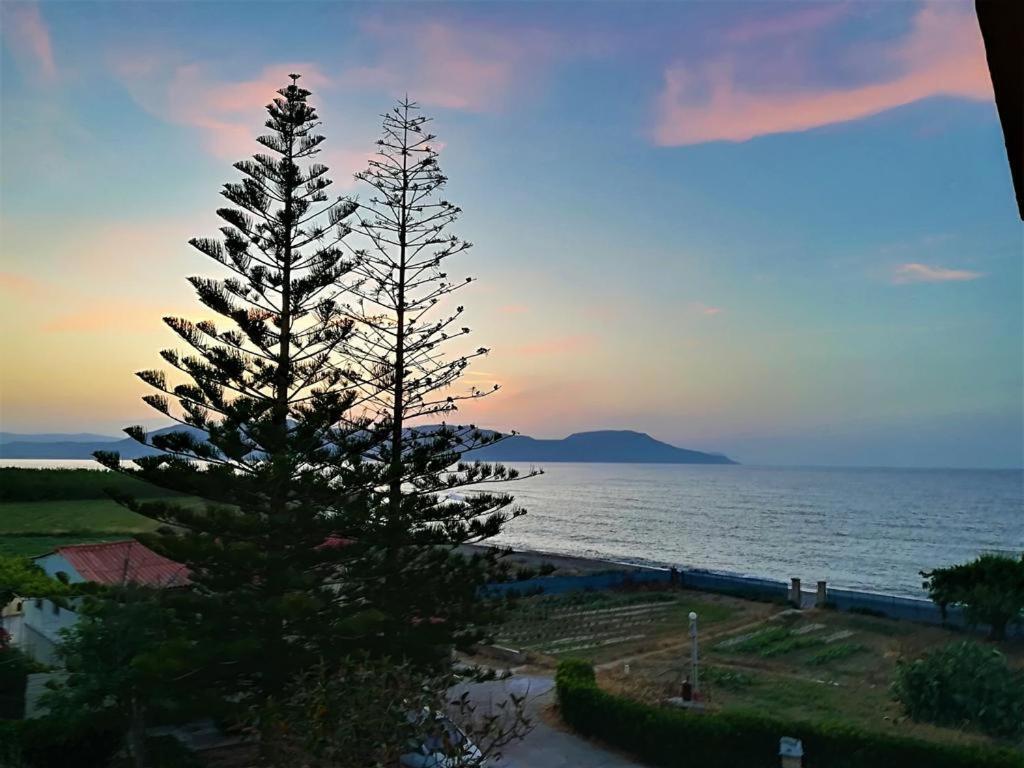 Musela Studios Episkopi  ภายนอก รูปภาพ